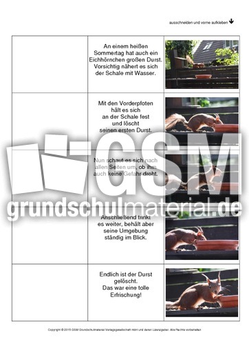 Flip-Flap-Eichhörnchen-Geschichte-1.pdf